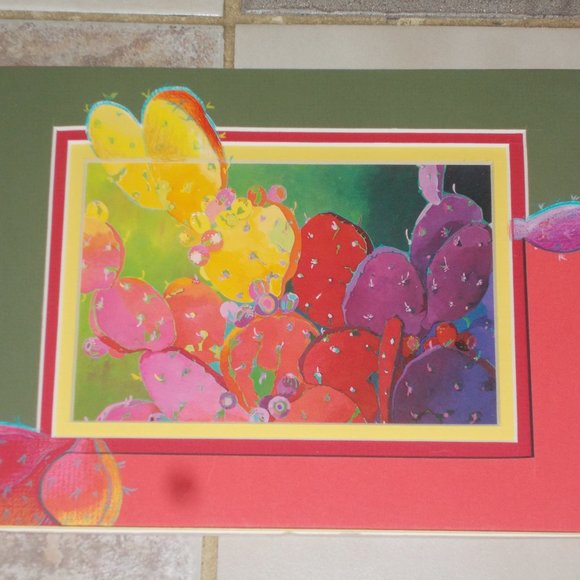 Multicolor cactus print, matted approximately 9 1/4"x7.5" - Picture 4 of 6